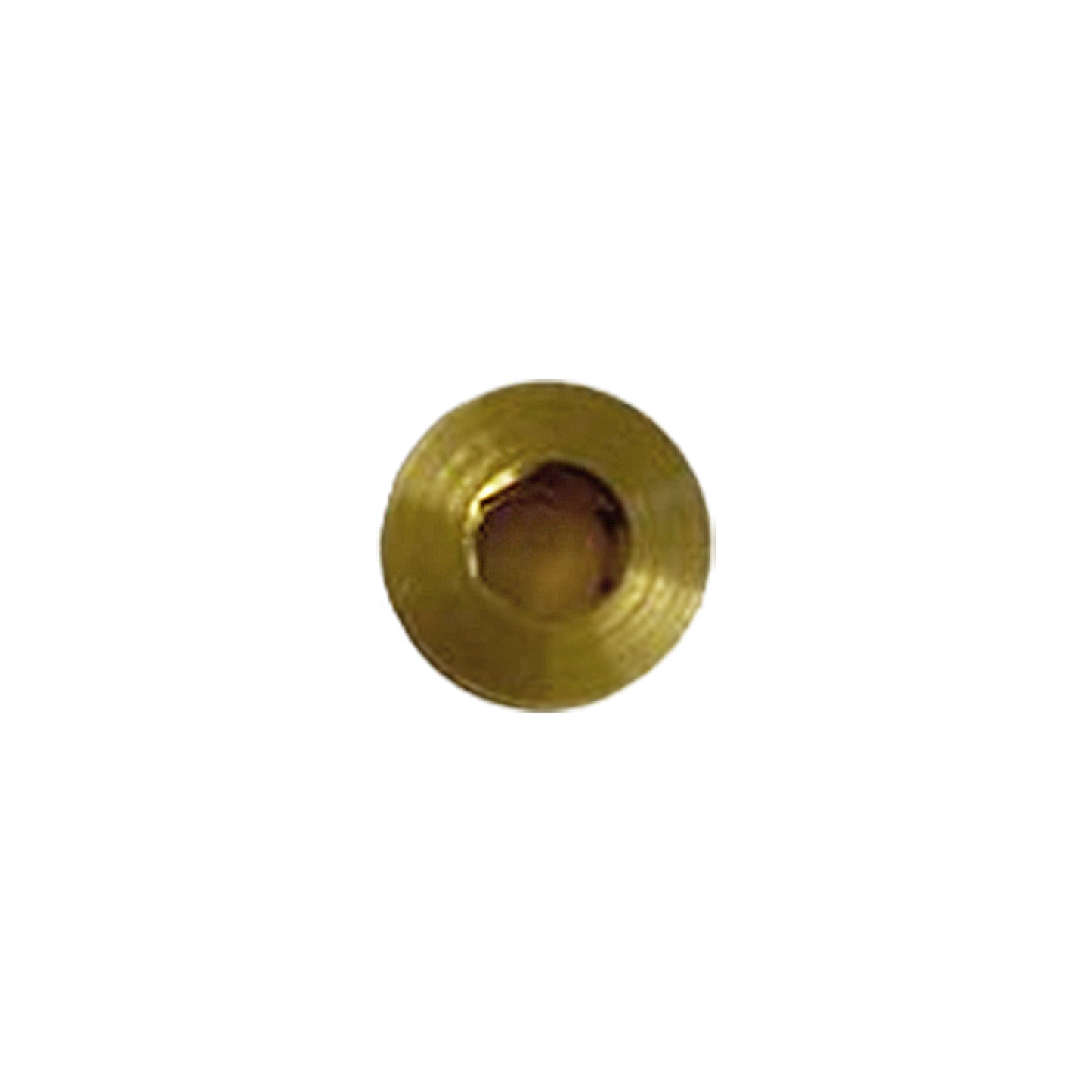 Bird / Vyaire O2 Blender Checkball Retainer