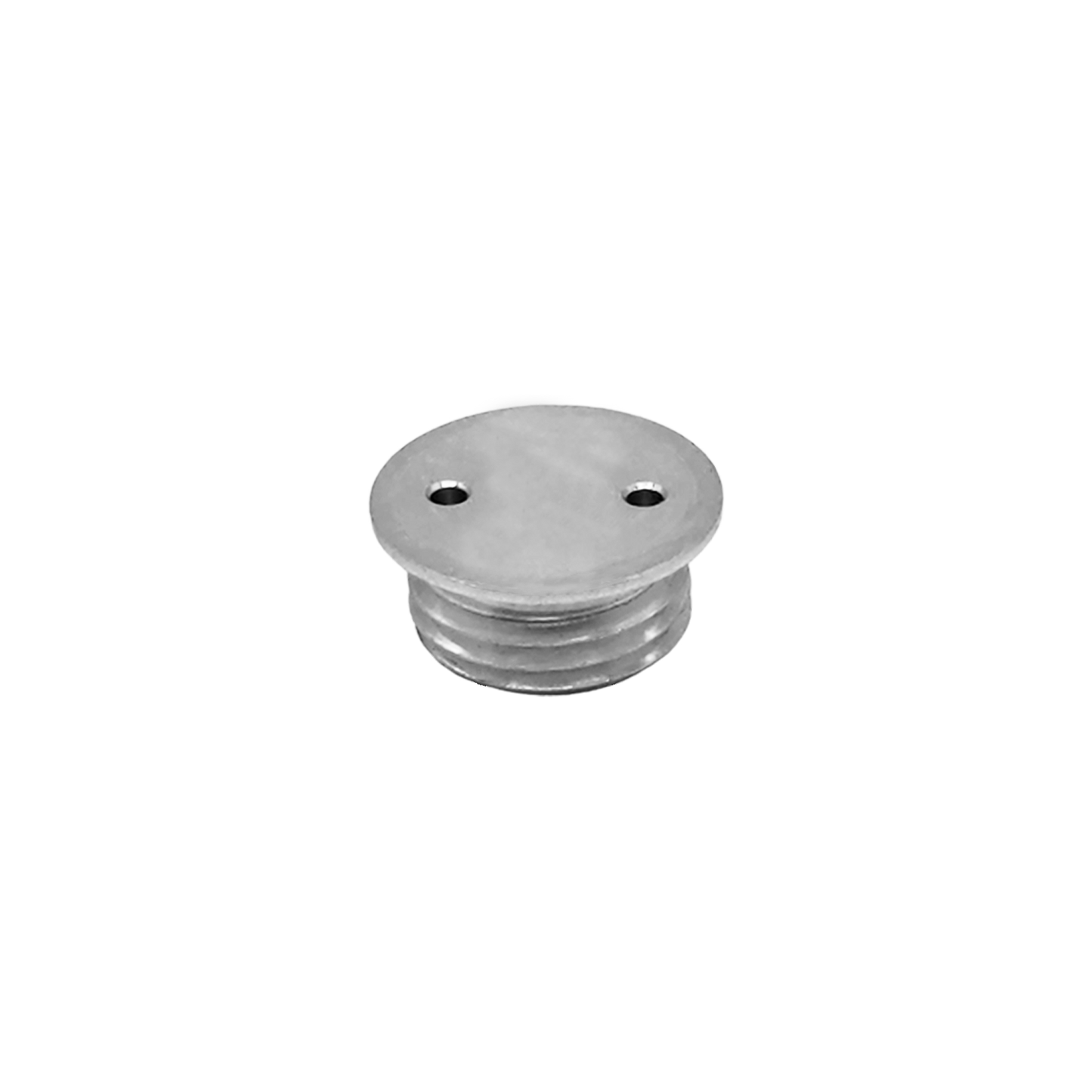 Bird / Vyaire Block Cap